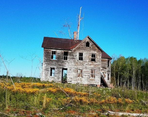 Dame house w flowers