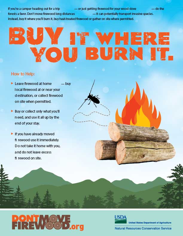 DontMoveFirewoodPoster_NRCS_MT