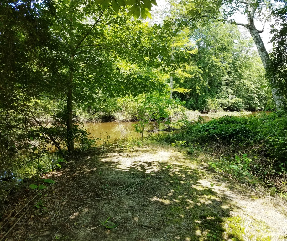 Dragon Bridge