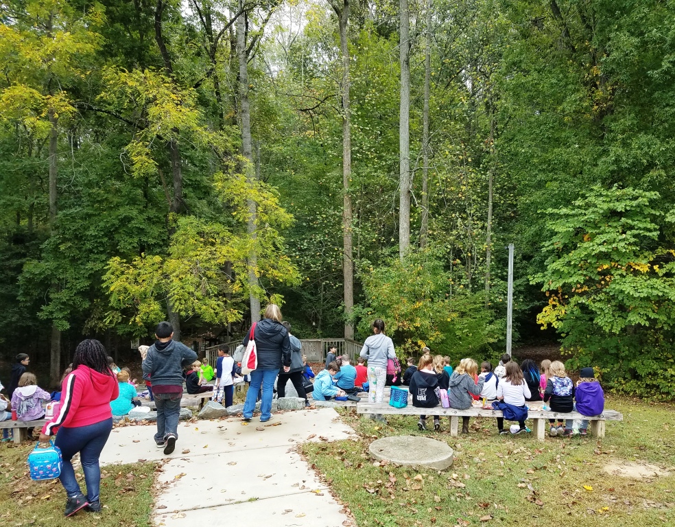 lunch in the woods