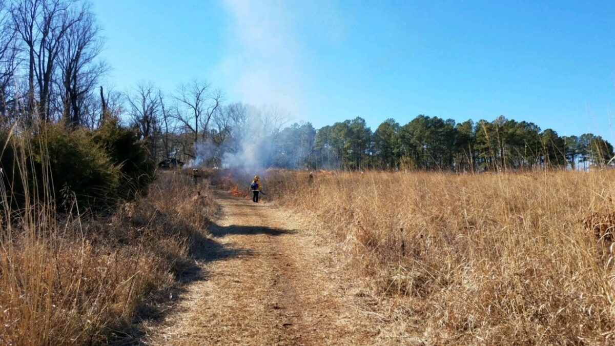 Whitney SF_Field Burn_2020_4